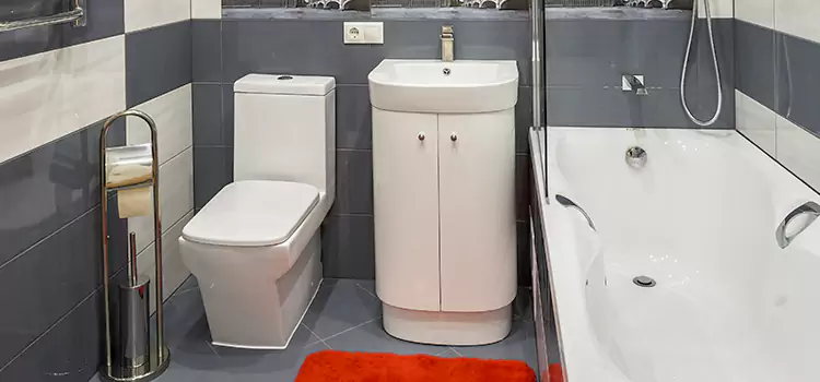 Hansgrohe Shaving Mirror Spokane Valley